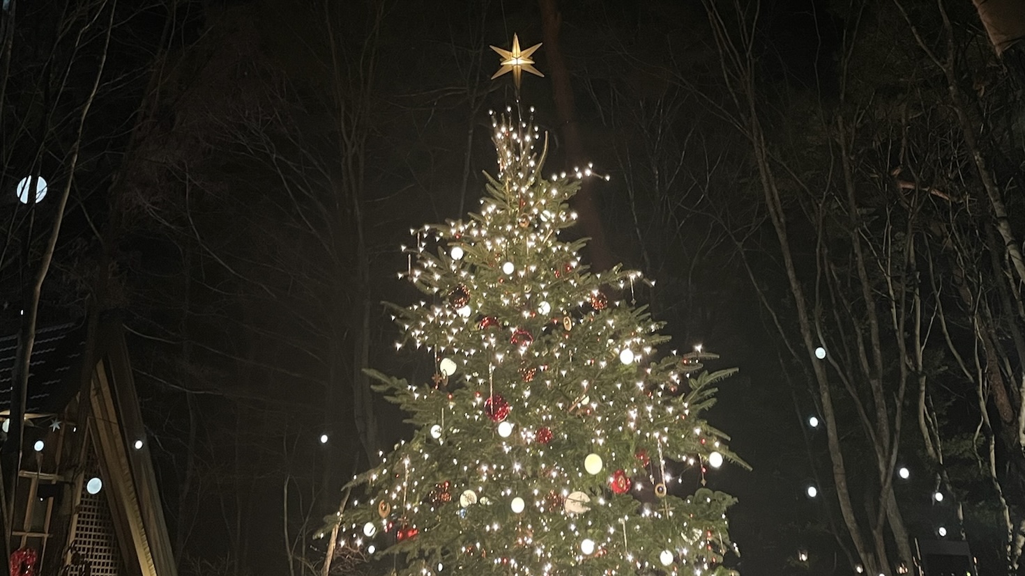 【まだ間に合う】軽井沢の「星降る森のクリスマス」の予約方法を解説！