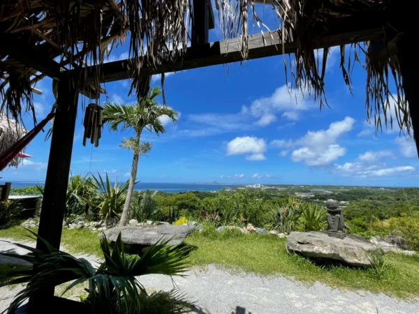 anettaichaya-view-from-table