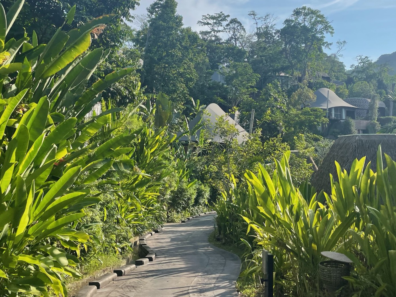 featured-image-going-out