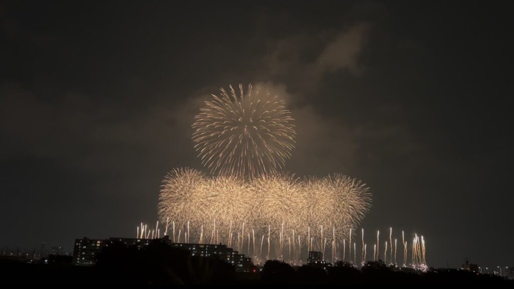 東京競馬場花火大会の観覧場所から見える風景