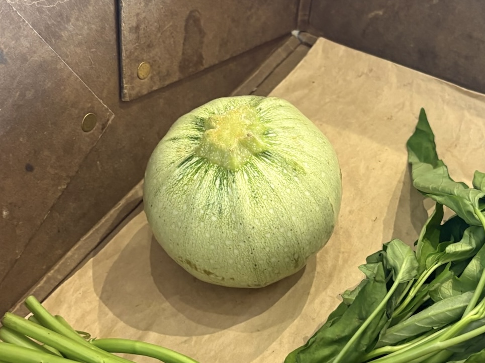 ミコト屋で買ったゴールデイ